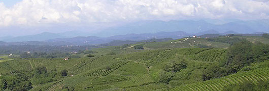 Area Val Grande e Area Alta Valsesia