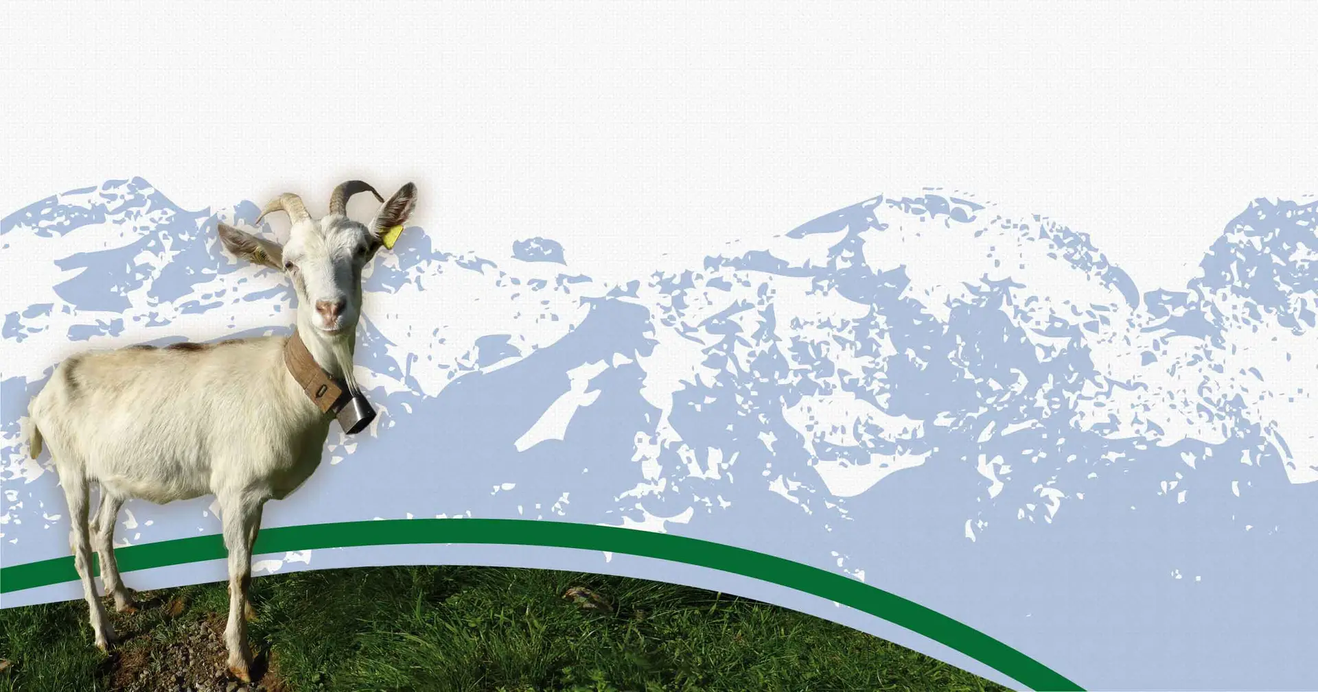 TERZA PUBBLICAZIONE DEL BANDO PUBBLICO NELL’AMBITO DELLE FILIERE DEI PRODOTTI AGROALIMENTARI DELLA VALSESIA – AGRO3-2022